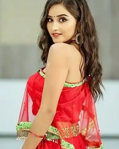 Escort In Williamnagar